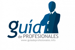 Desarrollo de Sistema web: Guía de Profesionales